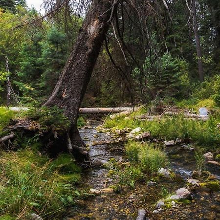 Cottage On The Stream Sundance, Utah ภายนอก รูปภาพ