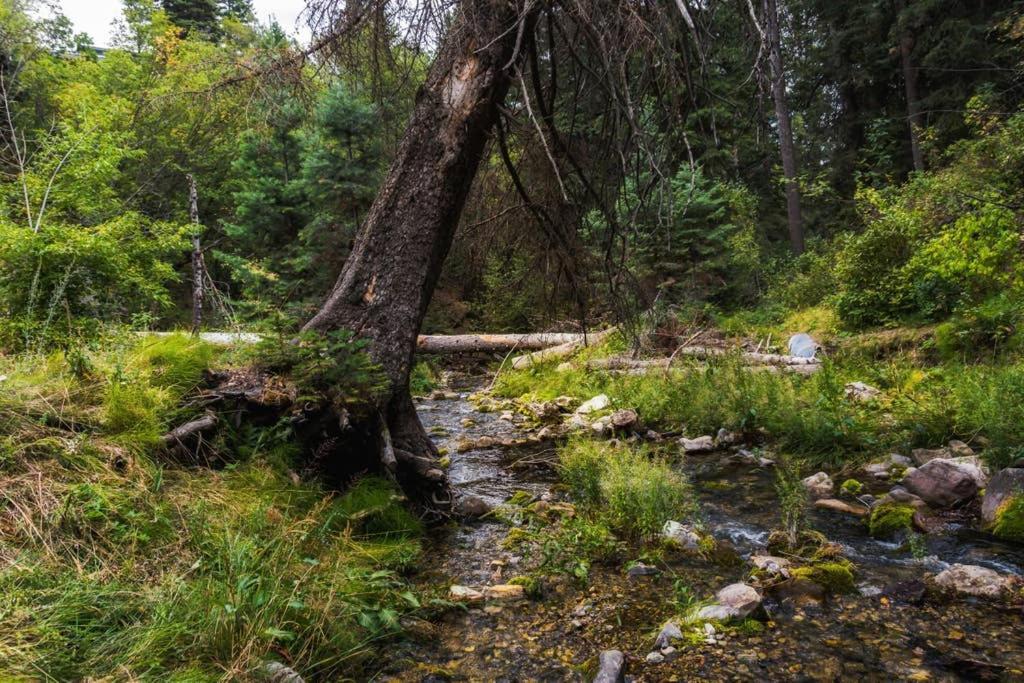 Cottage On The Stream Sundance, Utah ภายนอก รูปภาพ