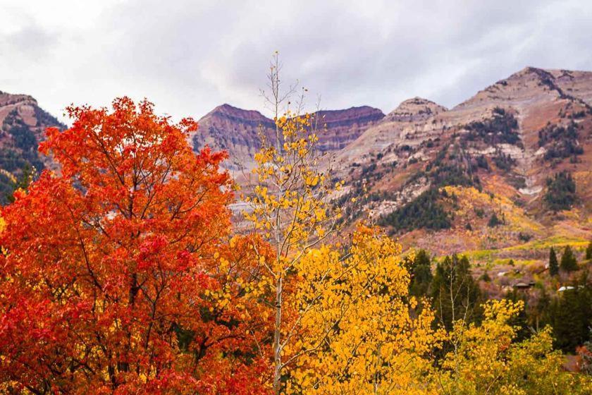 Cottage On The Stream Sundance, Utah ภายนอก รูปภาพ